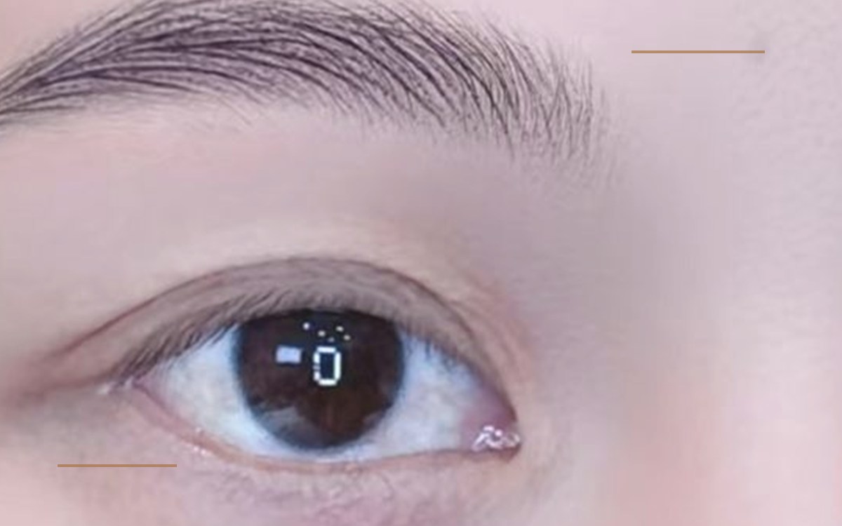Feather algae brow cover